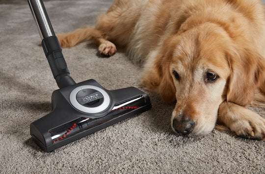 Miele Boost CX1 Cat & Dog Hoover Vacuum - Obsidian Black  || 11666830 - Image 7